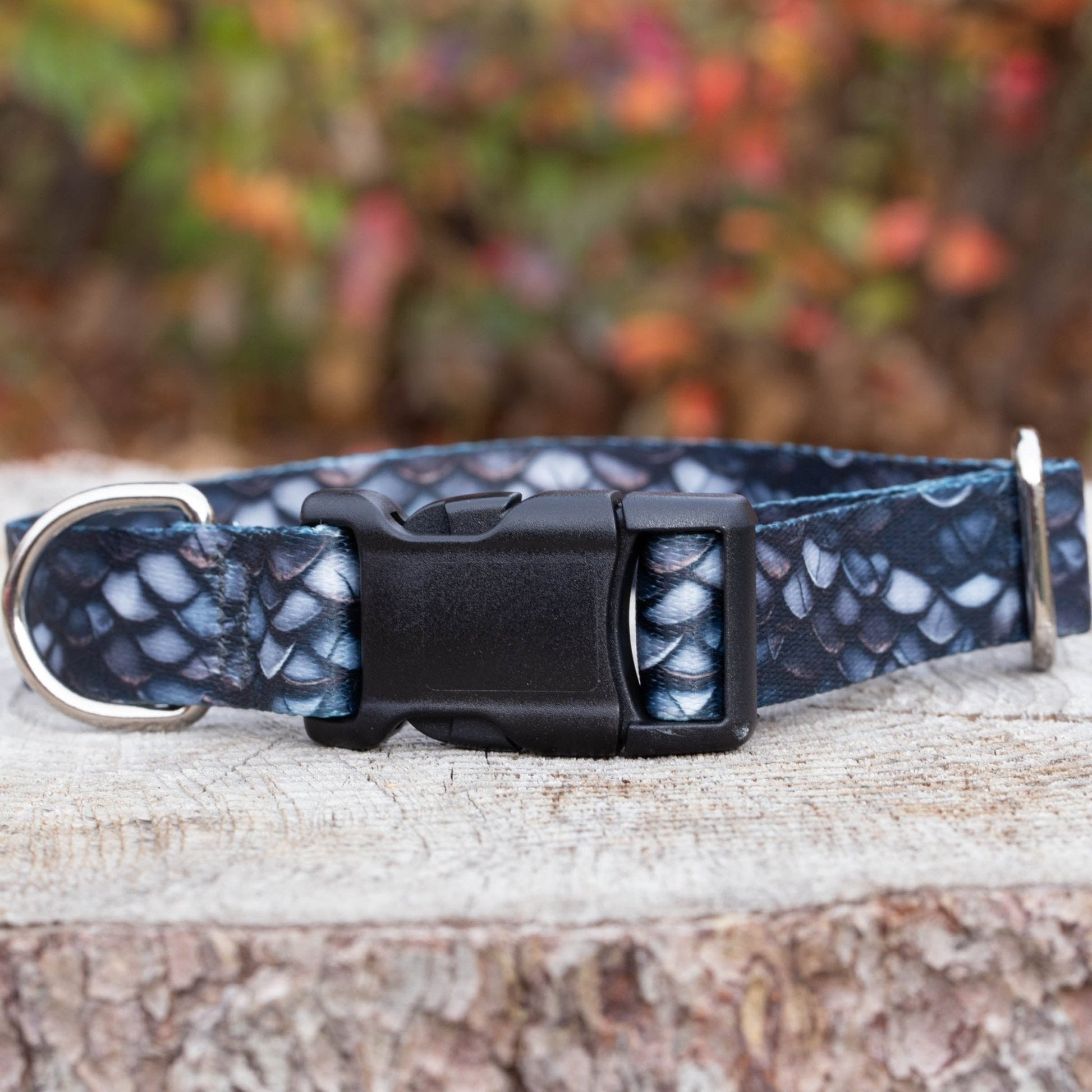 Black Dragon Dog Collar (LARGE) Ready to ship - North Range Dogs