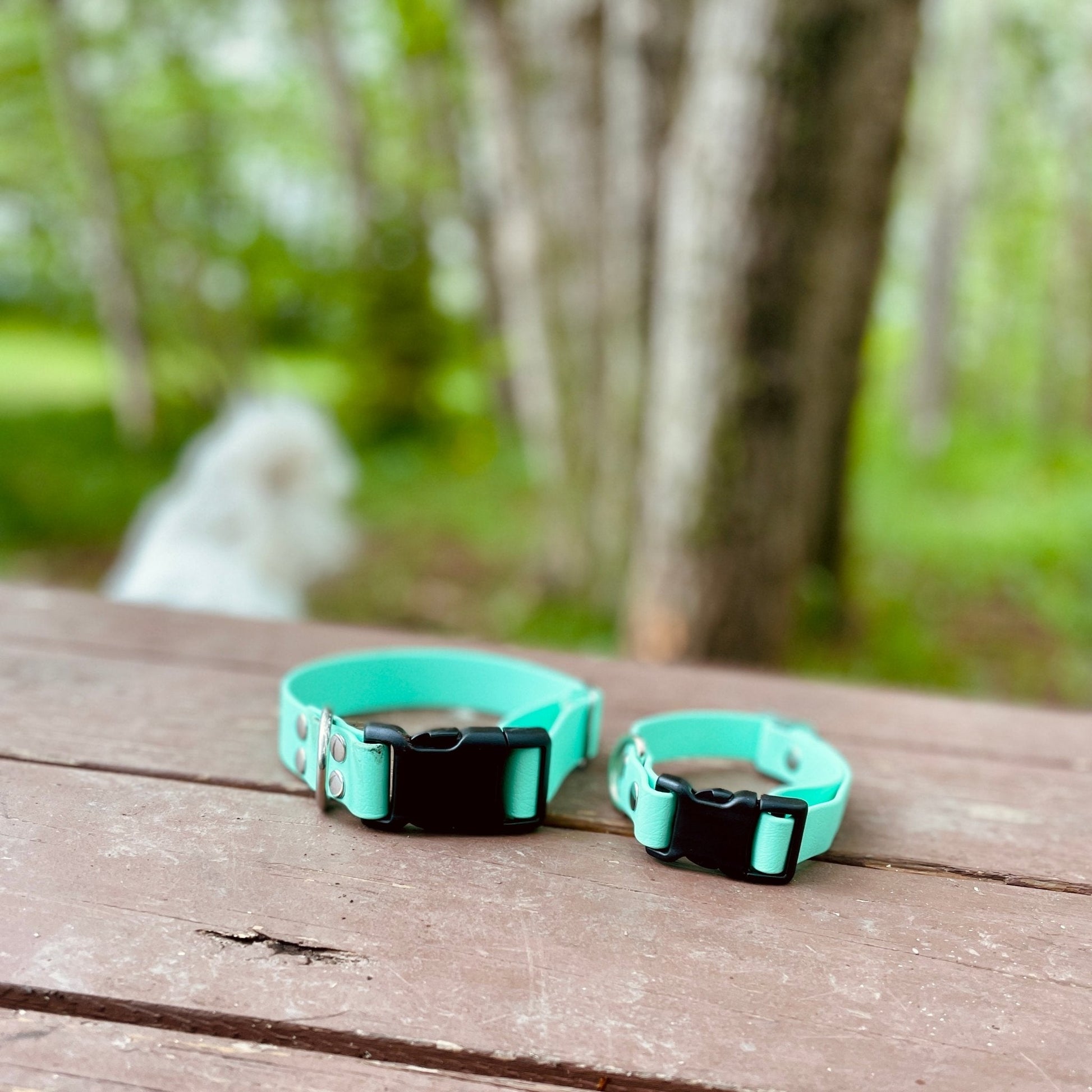 SMALL Explore Collar (1" wide) RTS (Neck Size 13 - 16.5) - North Range Dogs