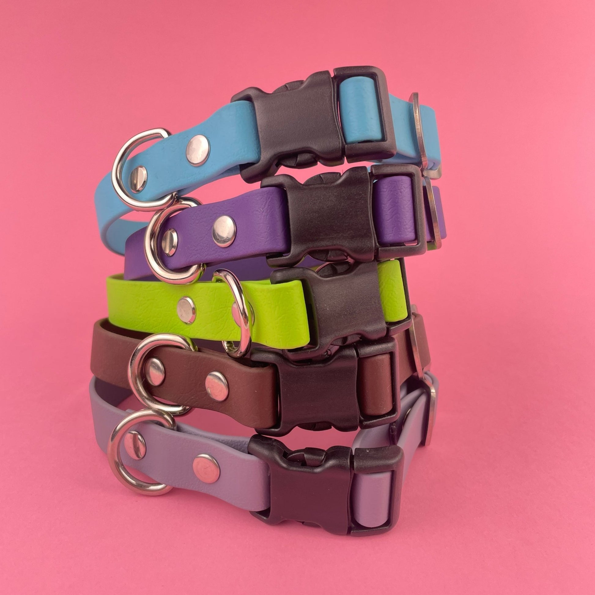SMALL Explore Collar (3/4" wide) RTS (Neck Size 13 - 16.5) - North Range Dogs