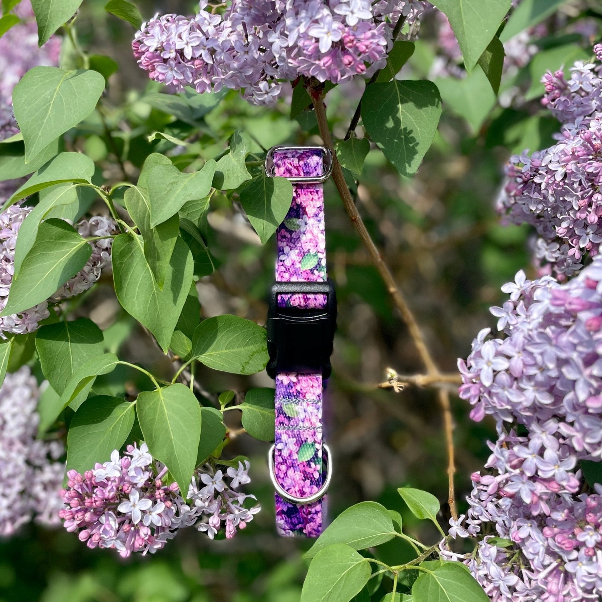 Lilacs: Floral Collection - North Range Dogs