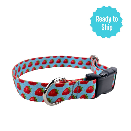 Strawberry Collar (Med) Ready to ship - North Range Dogs