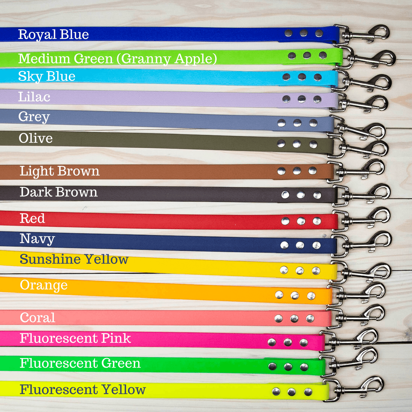 Medium Explore Collar RTS (Neck Size 15 - 19.5) - North Range Dogs