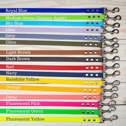 Medium Explore Collar RTS (Neck Size 15 - 19.5) - North Range Dogs