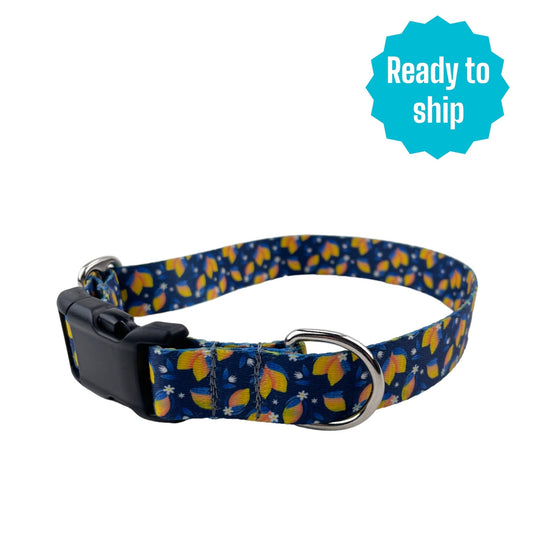 Lemons (Navy) Collar (Med) Ready to ship - North Range Dogs