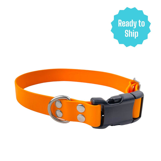 Clementine Orange Explore Collar (Med) Ready to ship - North Range Dogs