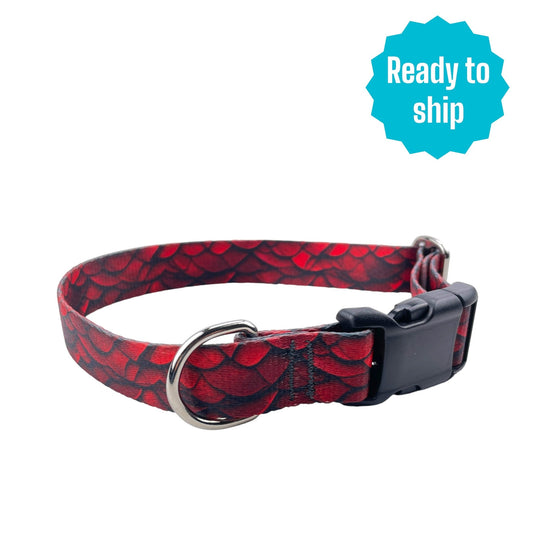 Red Dragon Collar (Med) Ready to ship - North Range Dogs
