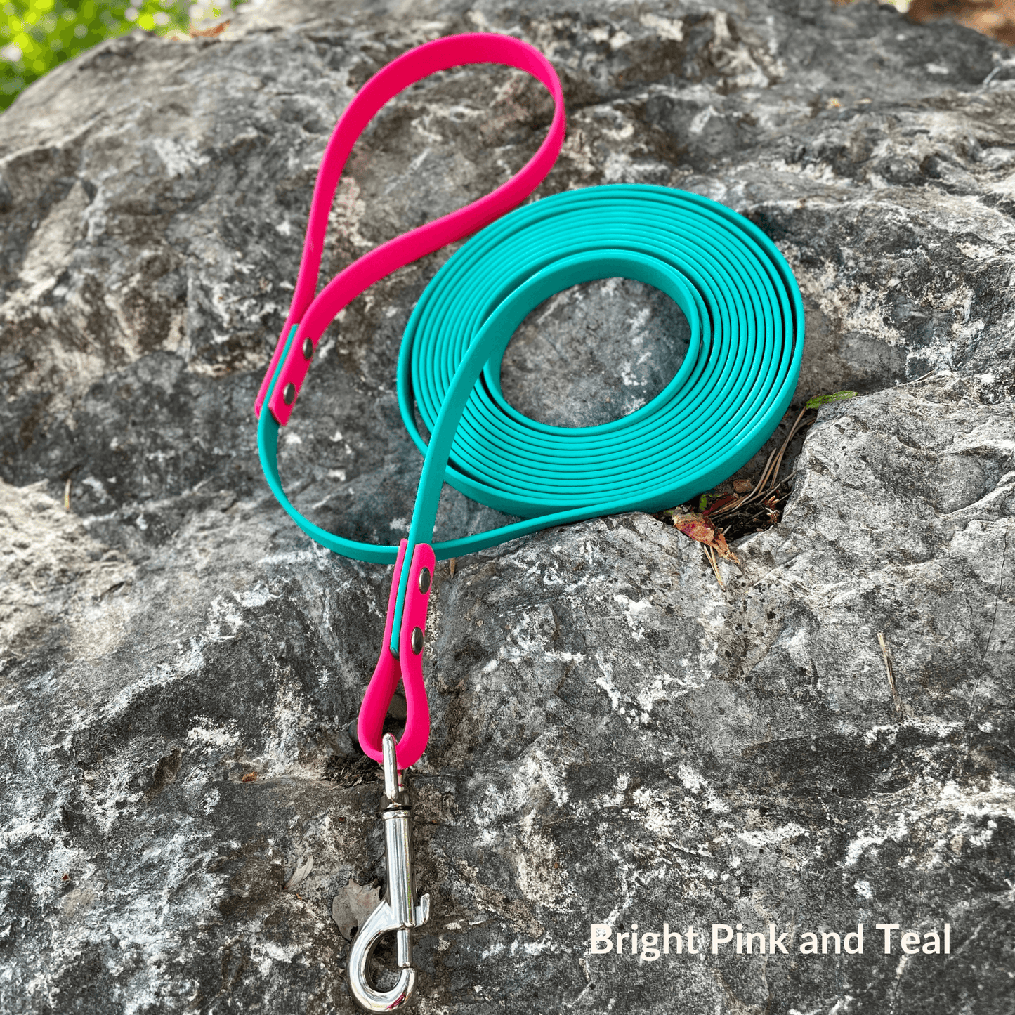 Two-Tone Explore Leash - NorthRangeDogs