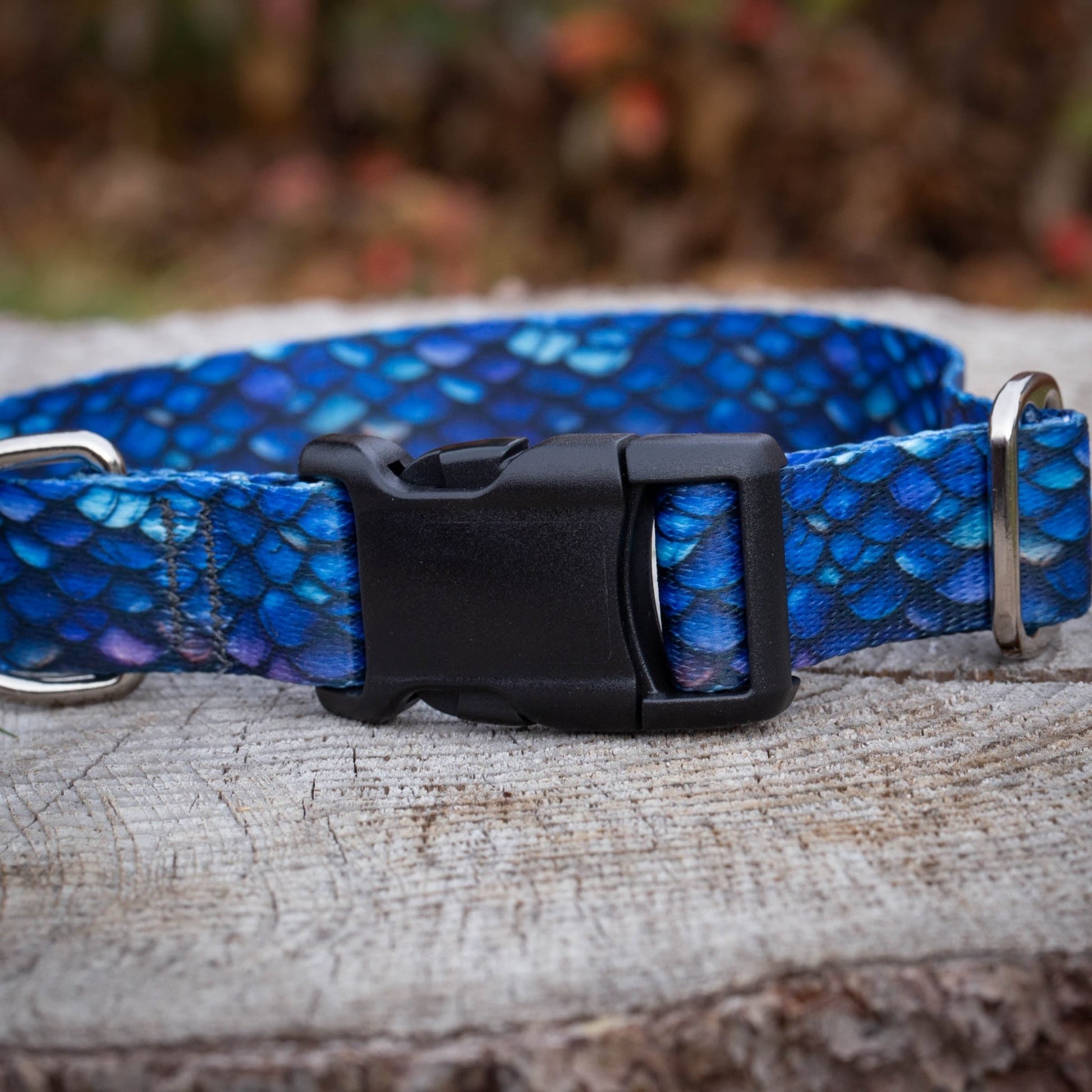 Blue Dragon Dog Collar - North Range Dogs
