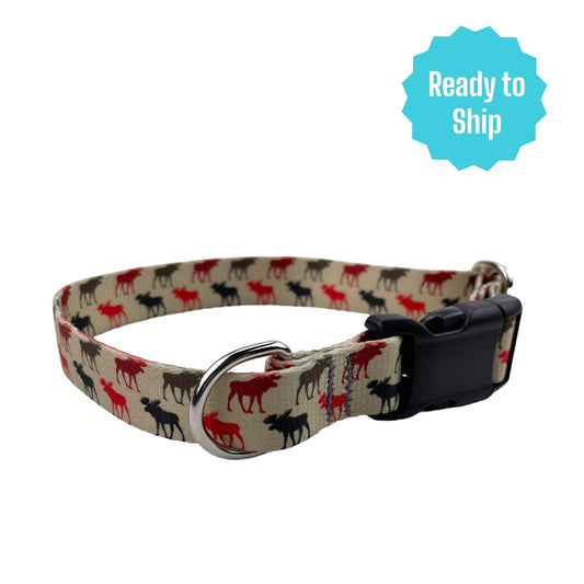 Moose Tracks Collar (Med) Ready to ship - North Range Dogs