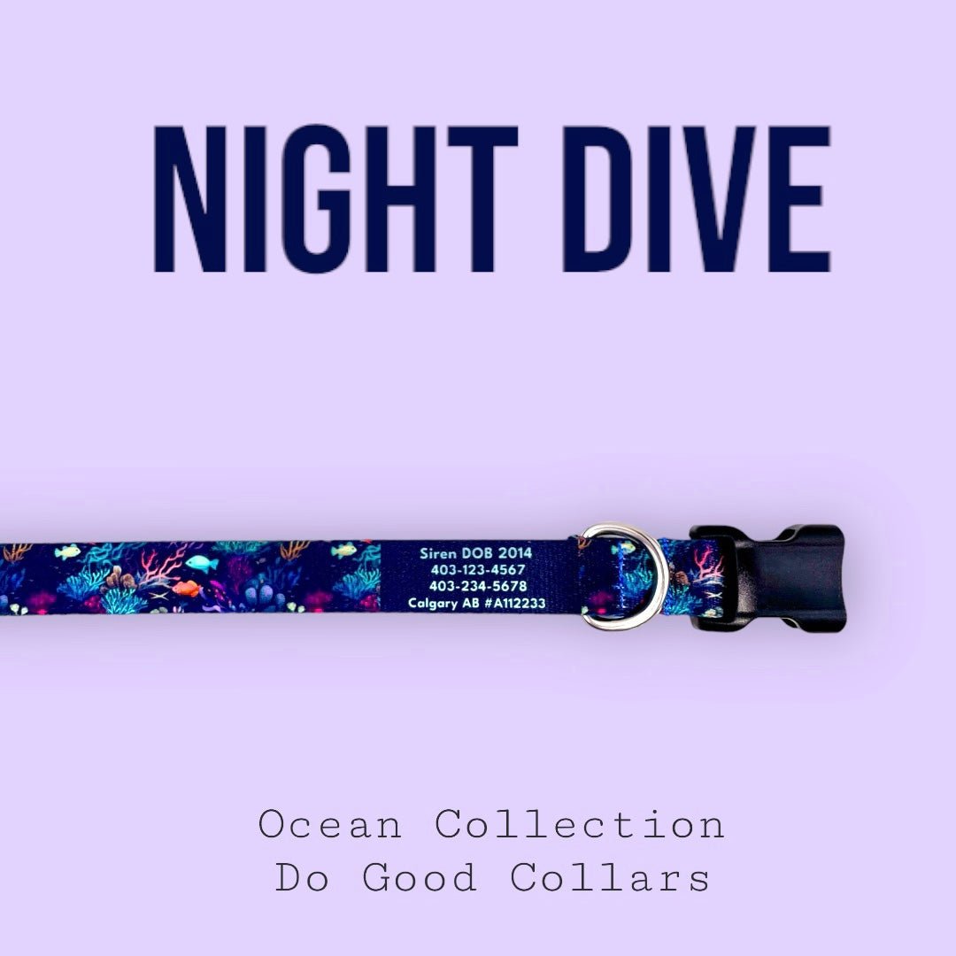 Night Dive: Ocean Collection - NorthRangeDogs