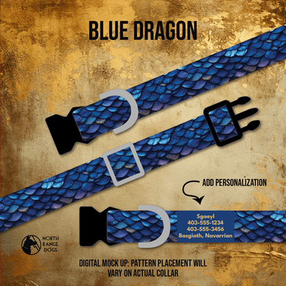 Blue Dragon Dog Collar - North Range Dogs