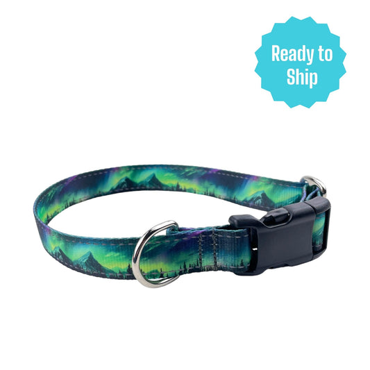 Northern Lights Collar (Med) Ready to ship - North Range Dogs