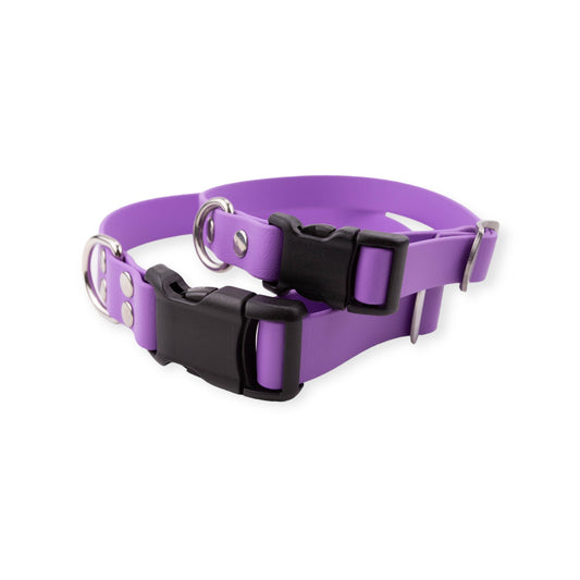 Amethyst Explore Collar (Small) Ready to ship - North Range Dogs