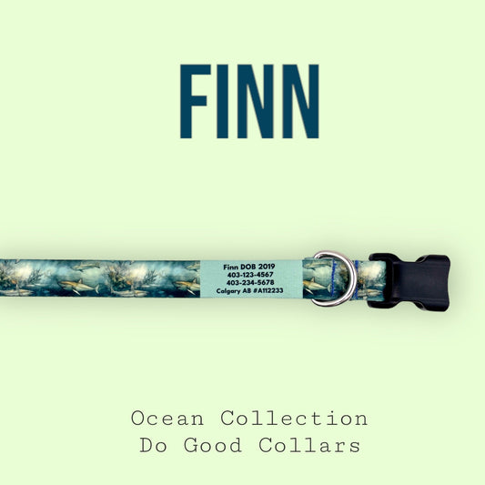 Finn: Ocean Collection - NorthRangeDogs