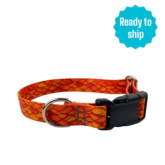 Orange Dragon Collar (Med) Ready to ship - North Range Dogs