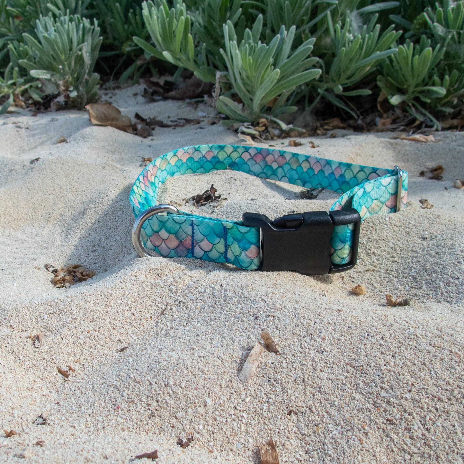 Mermaid Collar: Ocean Line - NorthRangeDogs