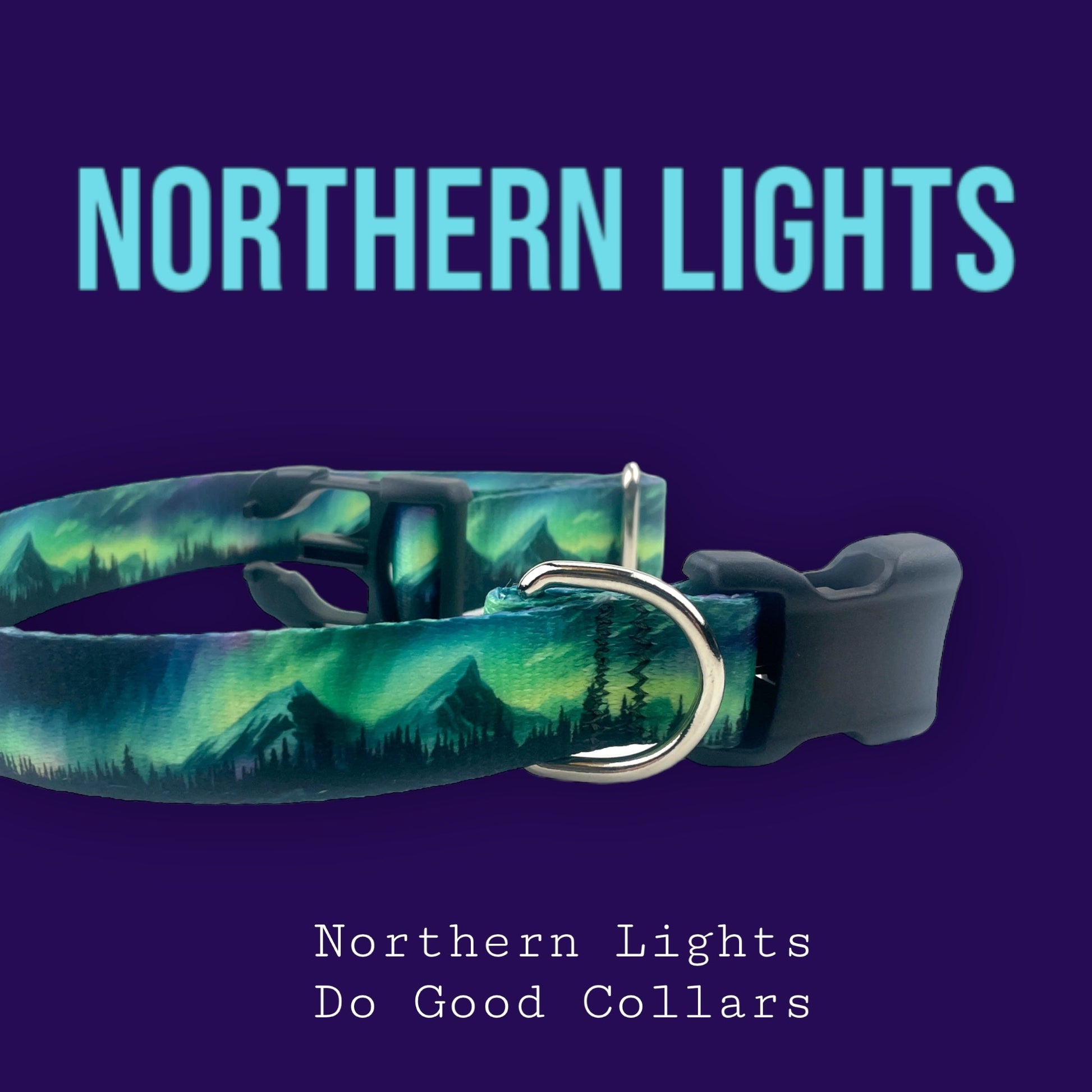Northern Lights Do Good Collar - North Range Dogs