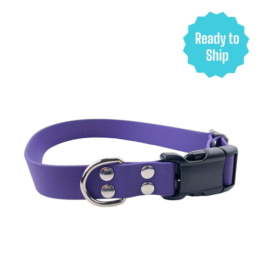 Purple Explore Collar (Med) Ready to ship - North Range Dogs