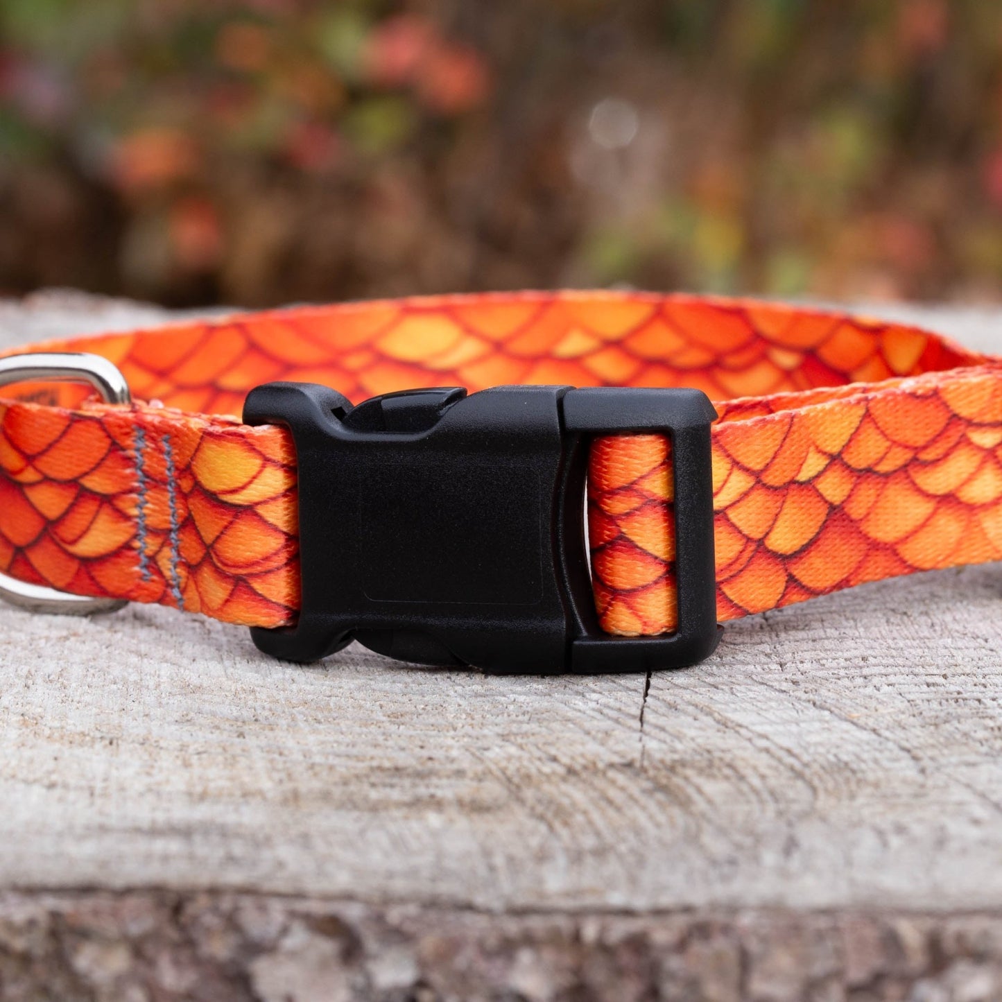 Orange Dragon Dog Collar - North Range Dogs