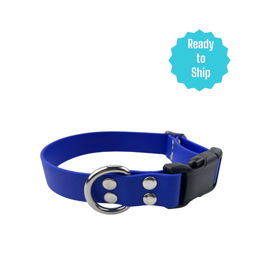 Royal Blue Explore Collar (Small) Ready to ship - North Range Dogs