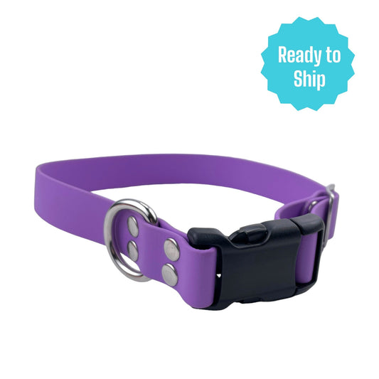 Amethyst Explore Collar (Med) Ready to ship - North Range Dogs