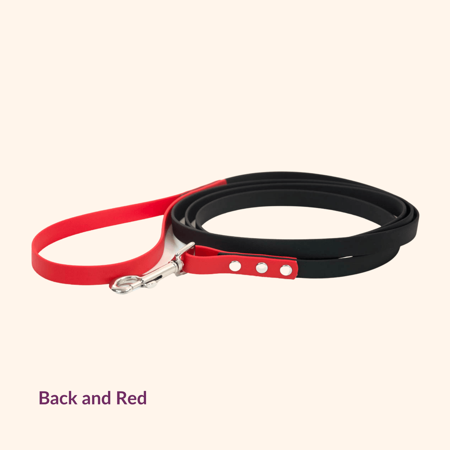 Two-Tone Explore Leash - NorthRangeDogs