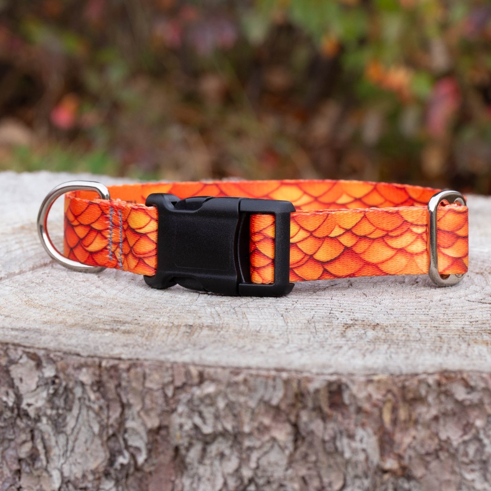 Orange Dragon Dog Collar - North Range Dogs