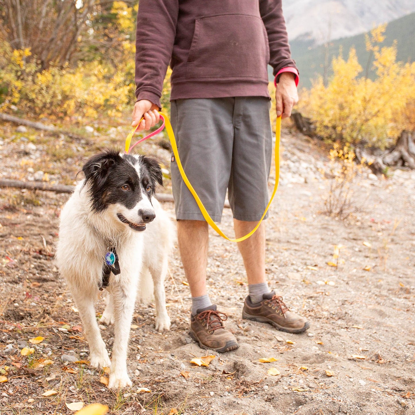 Why a Biothane Leash is the Best Leash for Hiking with a Dog –  YouDidWhatWithYourWiener.com