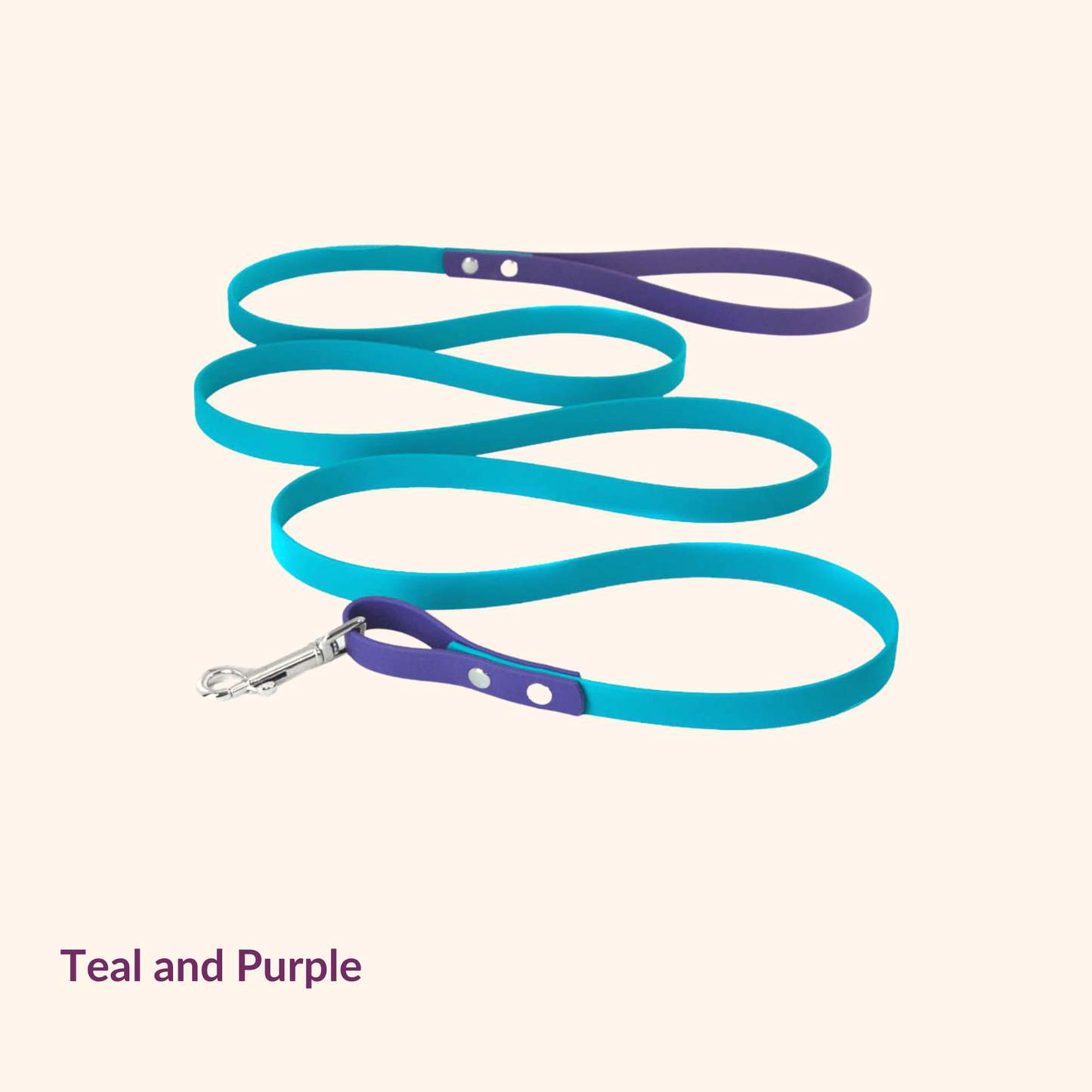 Two-Tone Explore Leash - NorthRangeDogs