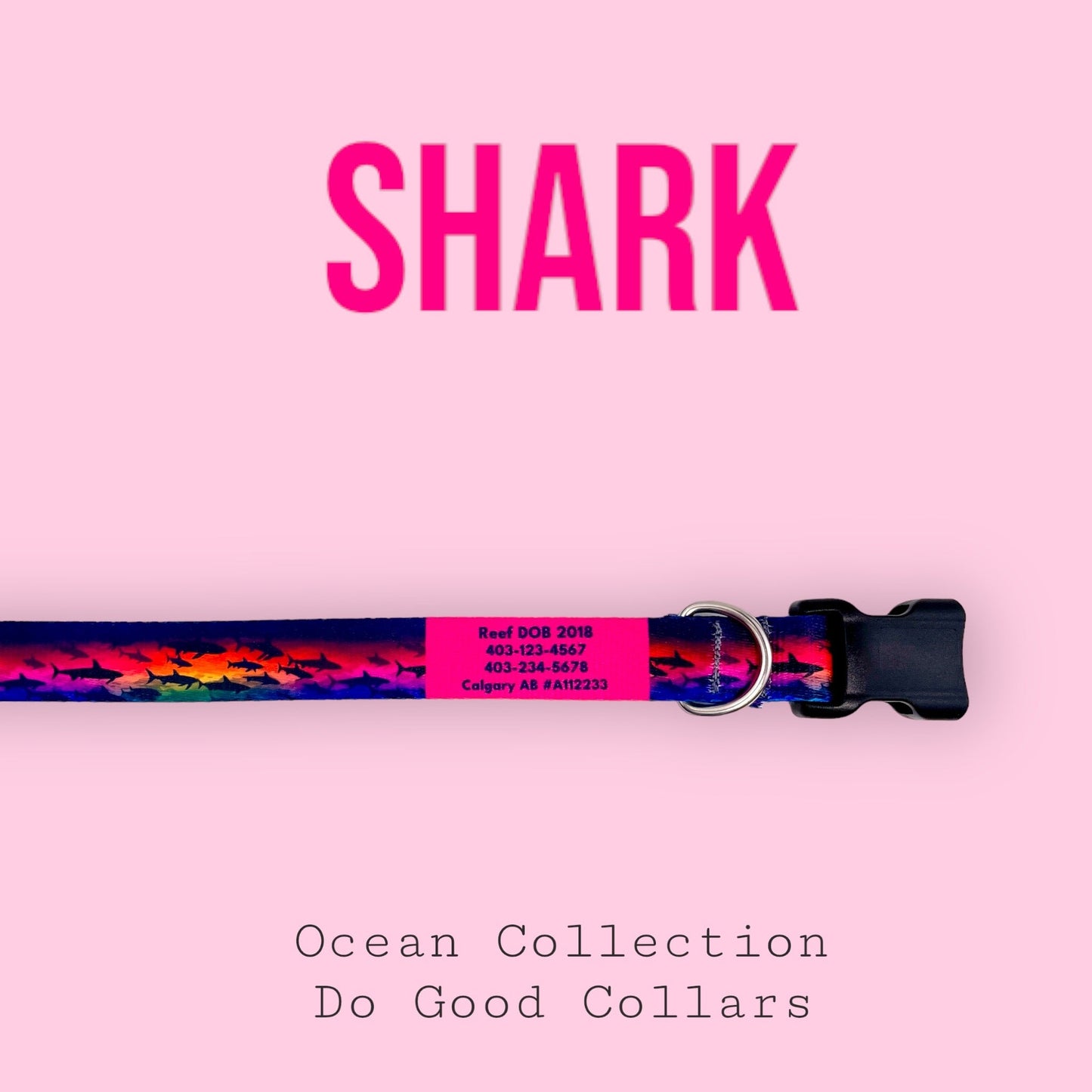 Shark! Ocean Collection - NorthRangeDogs