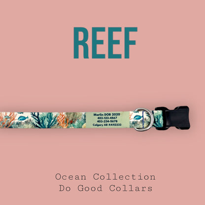 Reef: Ocean Collection - NorthRangeDogs